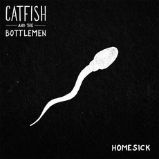 Homesick mp3 Single by Catfish And The Bottlemen