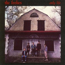 Only Life mp3 Album by The Feelies