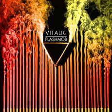 Flashmob mp3 Album by Vitalic