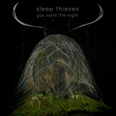 You Want The Night mp3 Album by Sleep Thieves