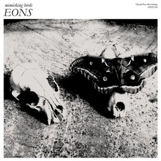EONS mp3 Album by Mimicking Birds