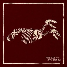 Freeze The Atlantic mp3 Album by Freeze The Atlantic