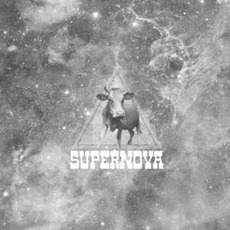 Supernova mp3 Album by Galápagos