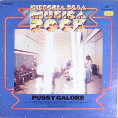 Historia De La Musica Rock mp3 Album by Pussy Galore