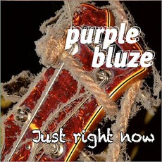 Just Right Now mp3 Album by Purple Bluze