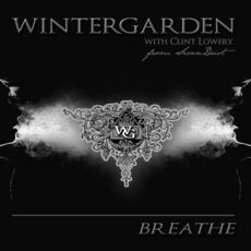 The New VIctorian mp3 Album by Wintergarden