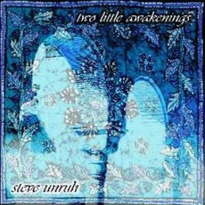 Two Little Awakenings mp3 Album by Steve Unruh