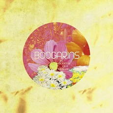 As Plantas Que Curam mp3 Album by Boogarins