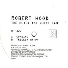 The Black And White Lab mp3 Single by Robert Hood