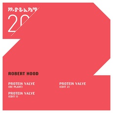Protein Valve Edits mp3 Single by Robert Hood