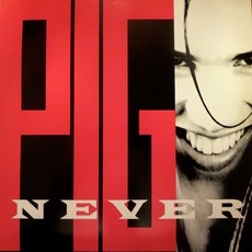 Never For Fun mp3 Single by PIG