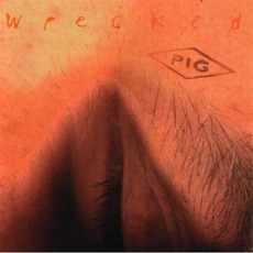 Wrecked mp3 Album by PIG