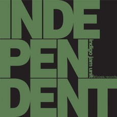 Independent mp3 Album by Indigo Jam Unit
