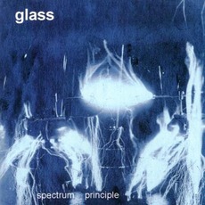 Spectrum Principle mp3 Album by Glass