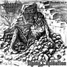 Dying Lapidation mp3 Album by Morbid Flesh