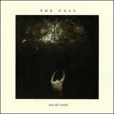 Into The Woods mp3 Album by The Call