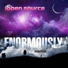Enormously Insignificant mp3 Album by Open Source