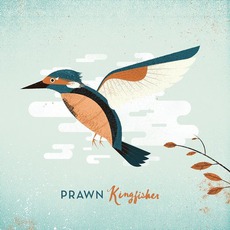 Kingfisher mp3 Album by Prawn