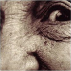 Bubbemeises: Lies My Gramma Told Me mp3 Album by David Krakauer