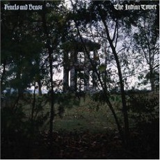 The Indian Tower mp3 Album by Pearls And Brass