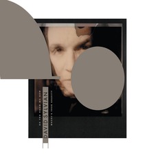Do You Know Me Now? mp3 Single by David Sylvian