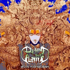 Shiva Rudrastakam mp3 Album by Dying Out Flame