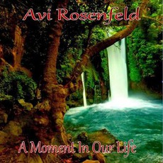 A Moment In Our Life mp3 Album by Avi Rosenfeld