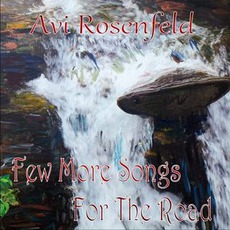 Few More Songs For The Road mp3 Album by Avi Rosenfeld