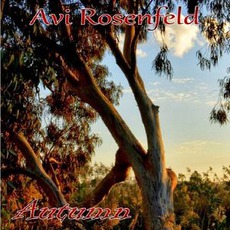 Autumn mp3 Album by Avi Rosenfeld