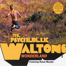Wonderland mp3 Single by The Psychedelic Waltons