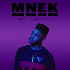 Wrote A Song About You mp3 Single by MNEK