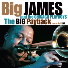The Big Payback mp3 Live by Big James And The Chicago Playboys