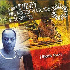 Bionic Dub mp3 Album by The Aggrovators & King Tubby & Bunny Lee