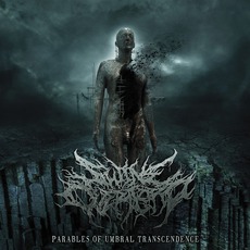 Parables Of Umbral Transcendence mp3 Album by Swine Overlord
