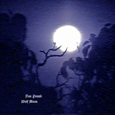 Wolf Moon mp3 Album by Dan Pound