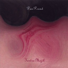 Tantra Majik mp3 Album by Dan Pound