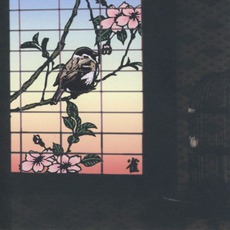 13 Japanese Birds, Volume 1: Suzume mp3 Album by Merzbow