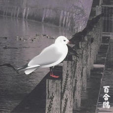 13 Japanese Birds, Volume 3: Yurikamome mp3 Album by Merzbow