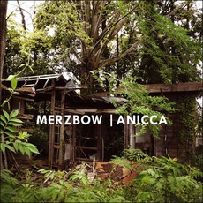 Anicca mp3 Album by Merzbow