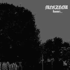 Somei... mp3 Album by Merzbow