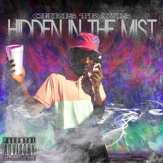 Hidden In The Mist mp3 Album by Chris Travis
