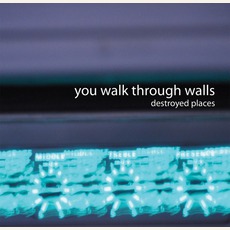 Destroyed Places mp3 Album by You Walk Through Walls