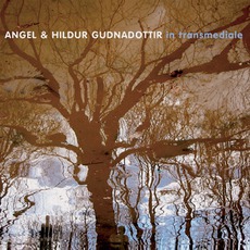 In Transmediale mp3 Album by Angel & Hildur Gudnadottir