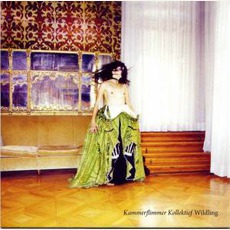 Wildling mp3 Album by Kammerflimmer Kollektief