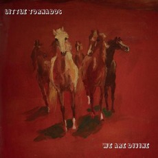 We Are Divine mp3 Album by Little Tornados