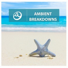 Ambient Breakdowns mp3 Compilation by Various Artists