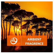 Ambient Fragrence mp3 Compilation by Various Artists