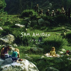 Lily-O mp3 Album by Sam Amidon