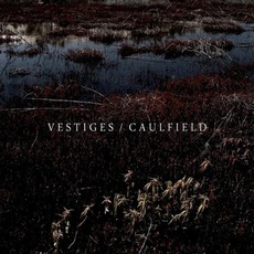 Vestiges / Caulfield mp3 Compilation by Various Artists