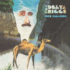 Dipz Zebazios mp3 Album by The Delta Riggs
